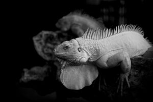 ドライアイの症状を和らげるために試すべき対策は？