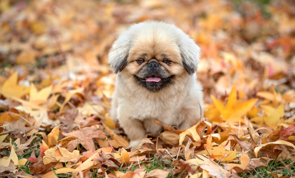 子供のドライアイを防ぐための予防策は？